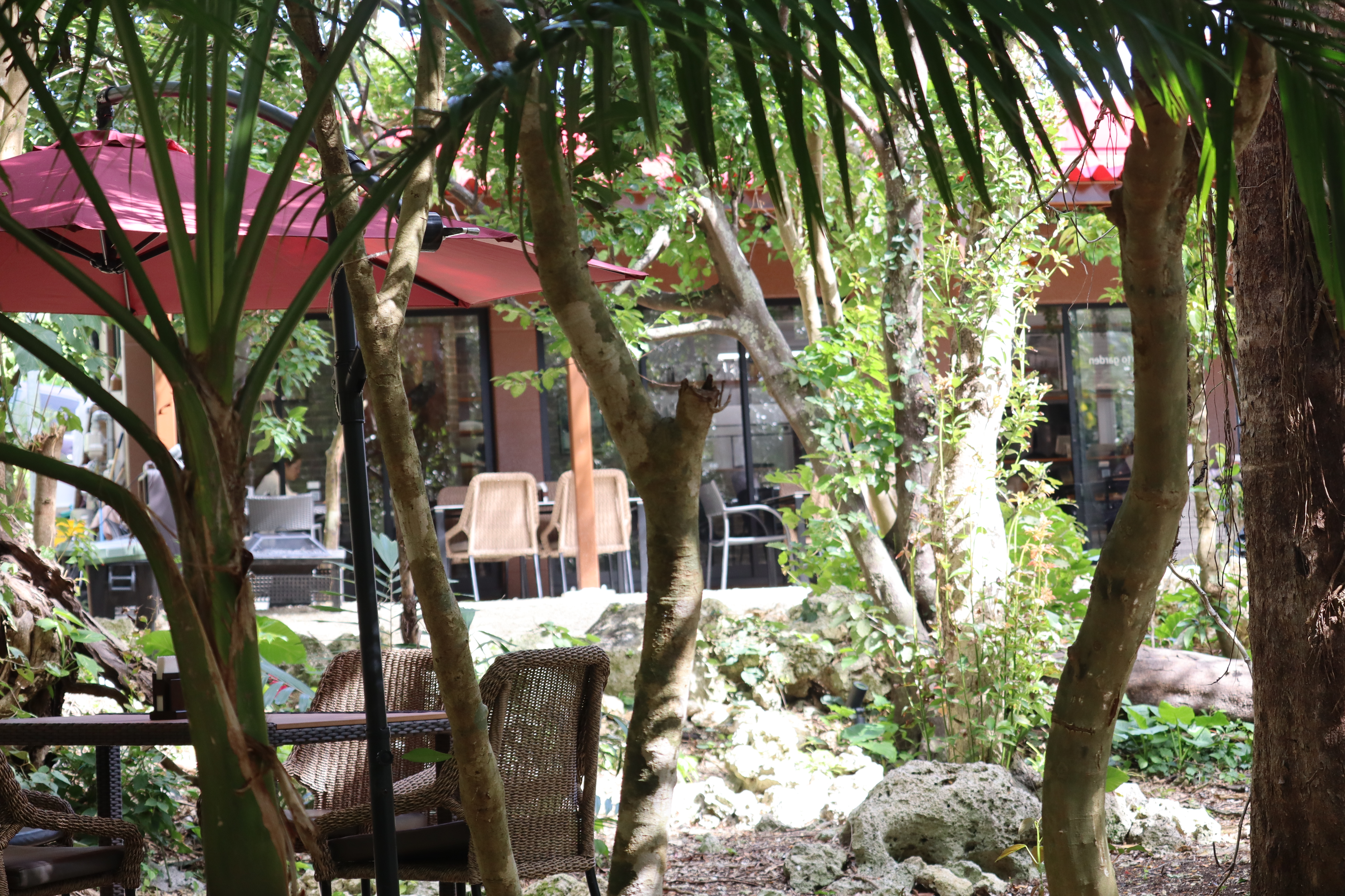 聖地の森・自然公園